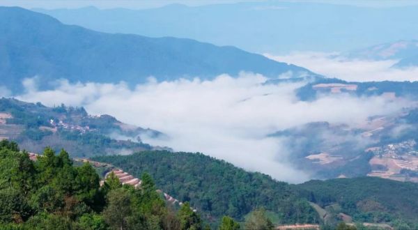 U��U�ֹ��ʡ�(�й���)�ٷ���վ